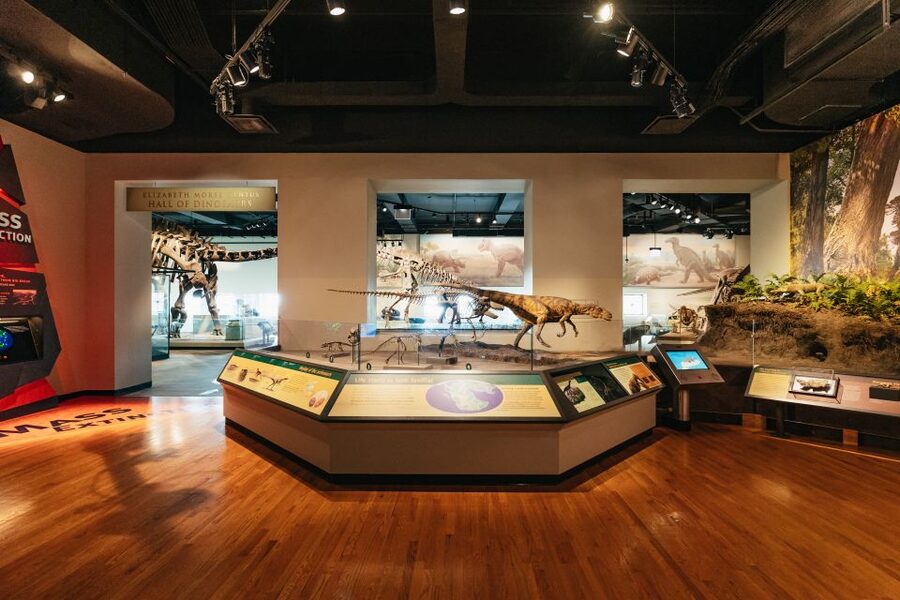 Chicago: Field Museum of Natural History Ticket or VIP Tour - Hall of Gems and Hall of Jades