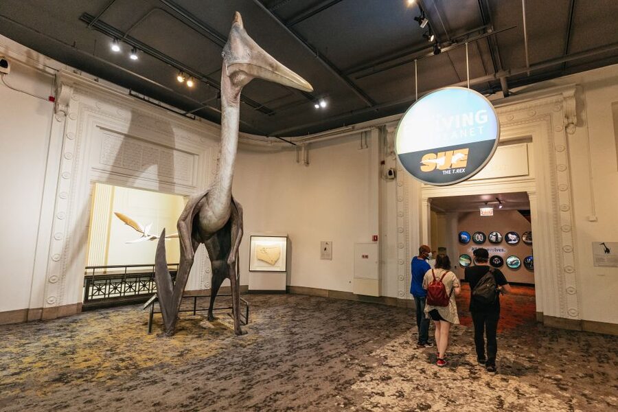 Chicago: Field Museum of Natural History Ticket or VIP Tour - Choosing between four admission options