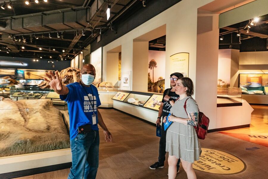Chicago: Field Museum of Natural History Ticket or VIP Tour - How much time should you allow?