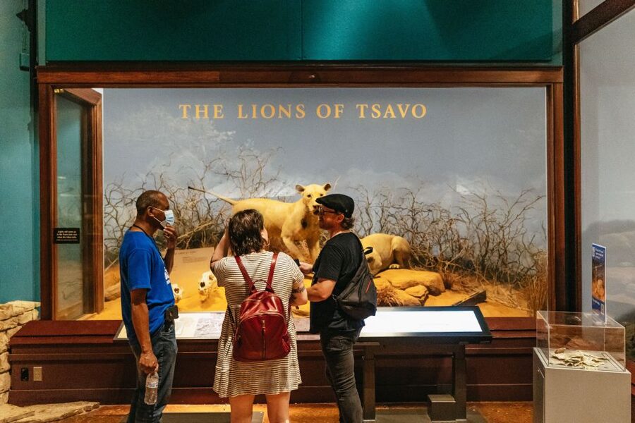 Chicago: Field Museum of Natural History Ticket or VIP Tour - Sue and Maximo, the museum’s biggest crowd-pullers