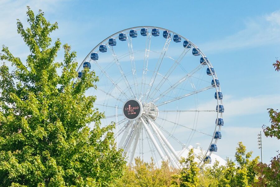 Chicago: Hop-on Hop-off Sightseeing Tour by Open-top Bus - Millennium Park, the Bean, and the Art Institute