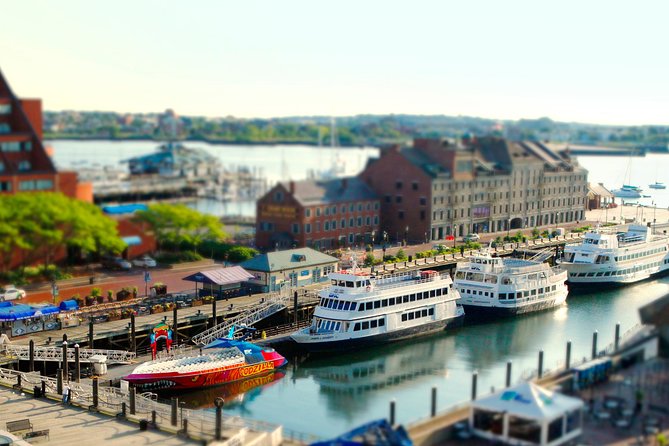 City Cruises Boston 90-Minute Harbor Sunset Sightseeing Cruise - Food, drinks, and onboard comfort