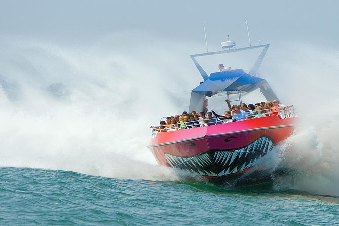 City Cruises Boston Codzilla High-Speed Thrill Boat Ride - Key points before you book