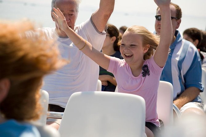 City Cruises Boston Codzilla High-Speed Thrill Boat Ride - The high-speed section: turns, spray, and 40 miles per hour