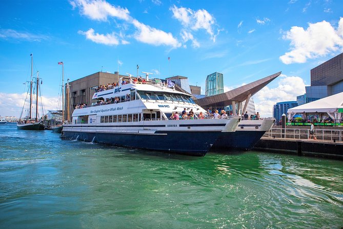 City Cruises Boston Whale Watching Cruise by High-Speed Boat - From Long Wharf to open Massachusetts Bay
