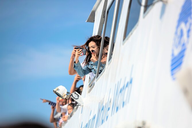 City Cruises Boston Whale Watching Cruise by High-Speed Boat - The price and what you receive