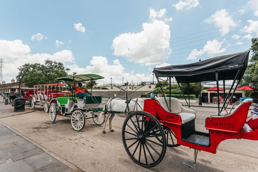 City Sightseeing New Orleans HOHO Bus Tour & Bookable Extras - Stops 11 to 15: Magazine Street, the Garden District, and St. Charles Avenue