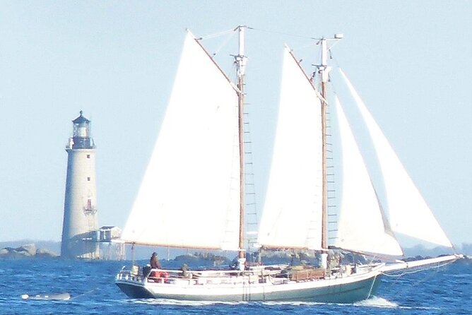 Classic Tall Ship Cruise in Boston Harbor - Who will enjoy this schooner cruise most?