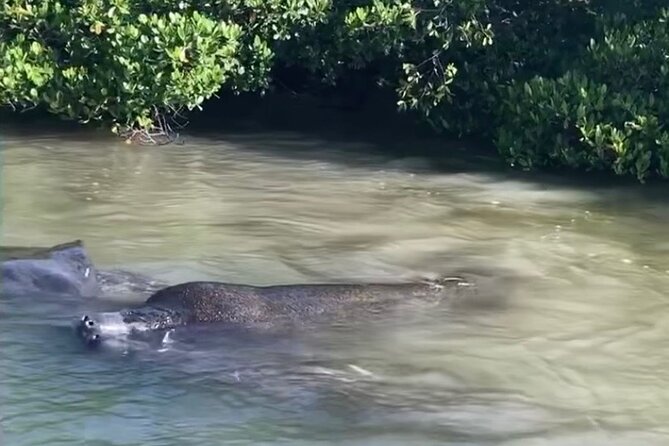 Clear Kayak Guided Eco Tour in North Naples - The guides make the biggest difference