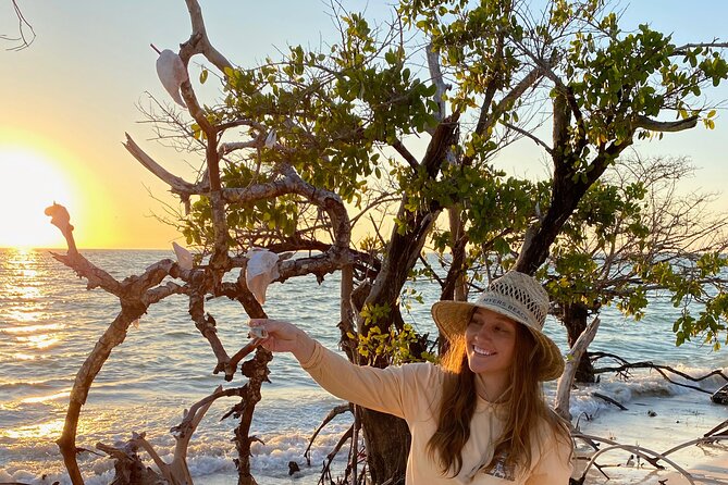 Clear Kayak Guided Eco Tour in North Naples - Price, parking, and what you receive