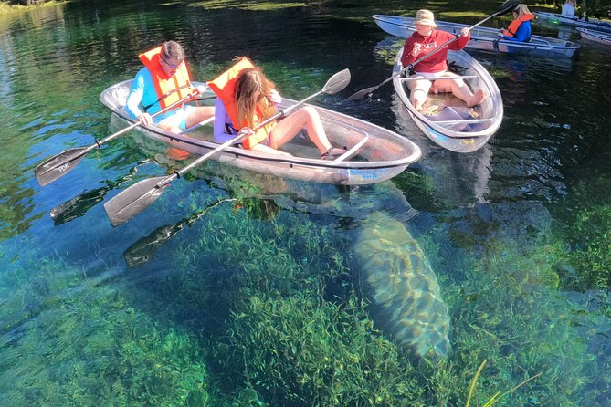 Clear Kayak Manatee Ecotour of Crystal River - What you actually see from the clear kayak