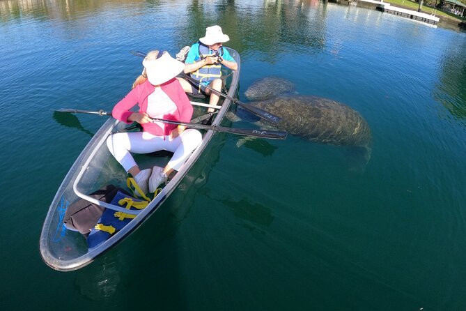 Clear Kayak Manatee Ecotour of Crystal River - Why the guide matters so much