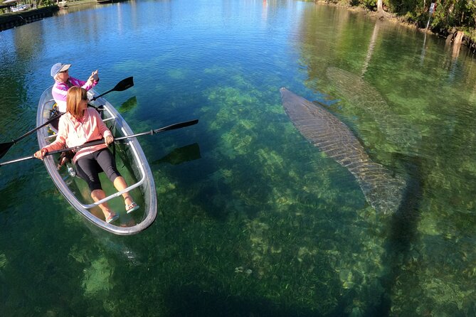Clear Kayak Manatee Ecotour of Crystal River - Tandem kayaks, family rules, and what to wear