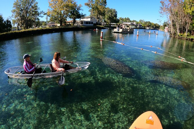 Clear Kayak Manatee Ecotour of Crystal River - Is $79 a person a fair price?