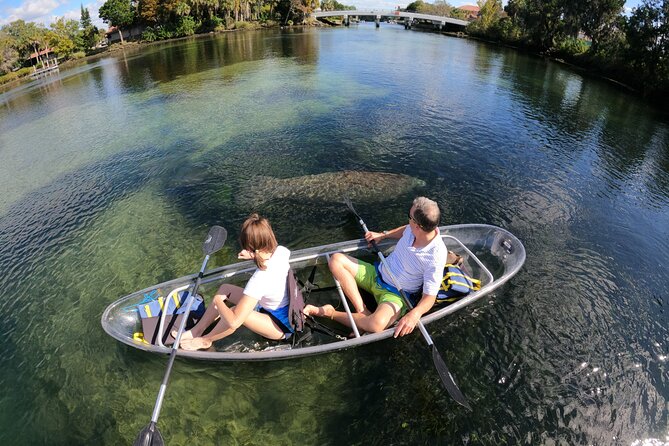 Clear Kayak Manatee Ecotour of Crystal River - The two-hour route and how the pace feels