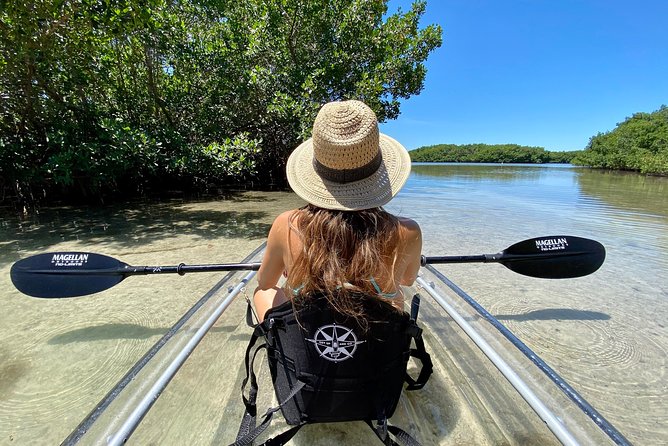 Clear Kayak Tour of Shell Key Preserve and Tampa Bay Area - Key points to know before you paddle