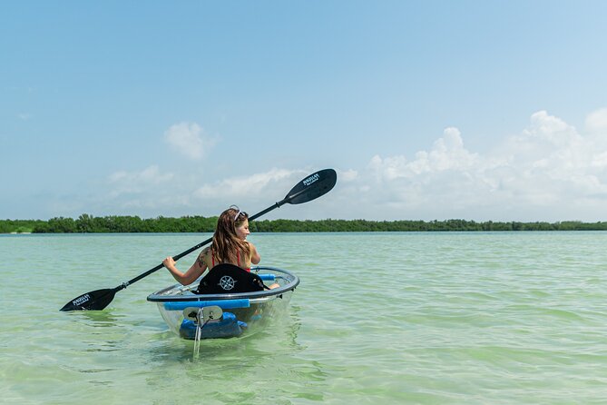 Clear Kayak Tour of Shell Key Preserve and Tampa Bay Area - Starting at Billy’s Stone Crab in Tierra Verde