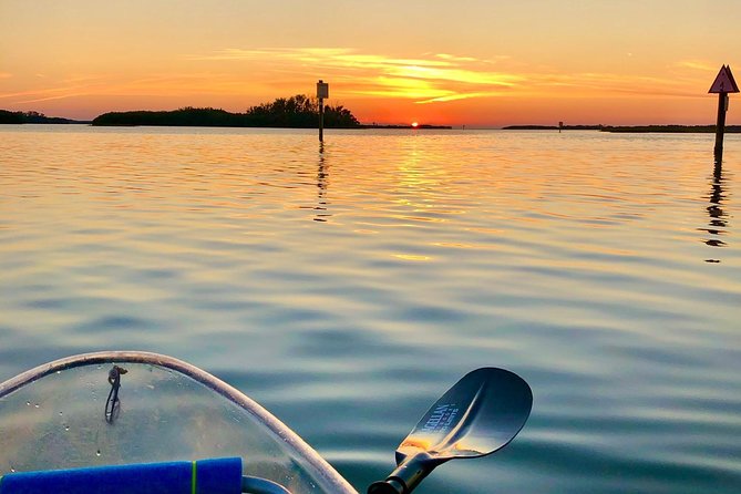 Clear Kayak Tour of Shell Key Preserve and Tampa Bay Area - The Shell Key beach break