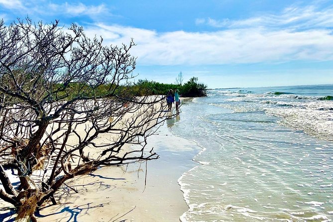 Clear Kayak Tour of Shell Key Preserve and Tampa Bay Area - How hard is the two-hour paddle?