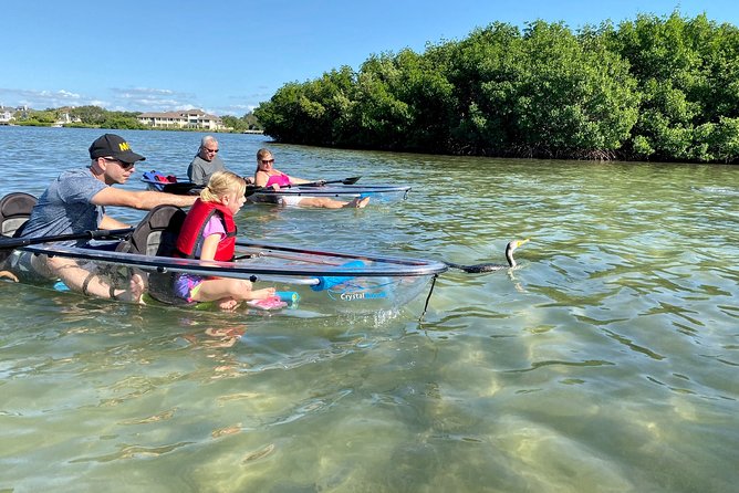 Clear Kayak Tour of Shell Key Preserve and Tampa Bay Area - Timing, weather, and what to pack