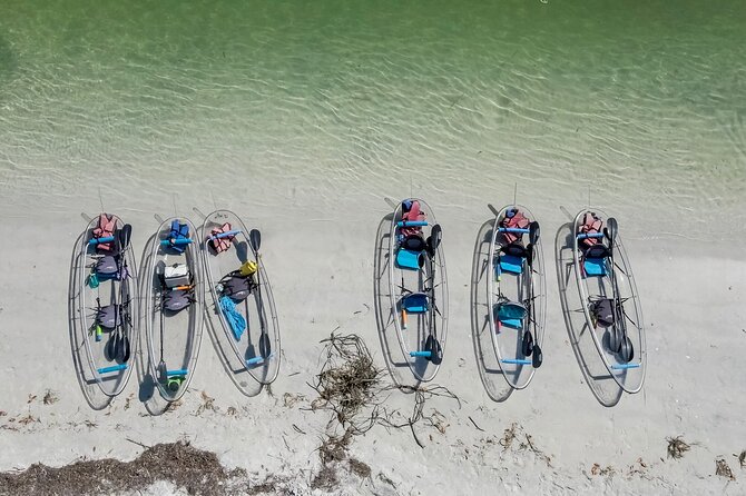 Clear Kayak Tour of Shell Key Preserve and Tampa Bay Area - Is $79 a fair price?