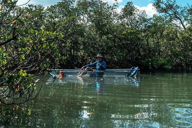 Clear Kayak Tours in Fort Pierce - Entering the mangrove tunnels