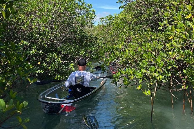 Clear Kayak Tours in Fort Pierce - Water stops and photo opportunities