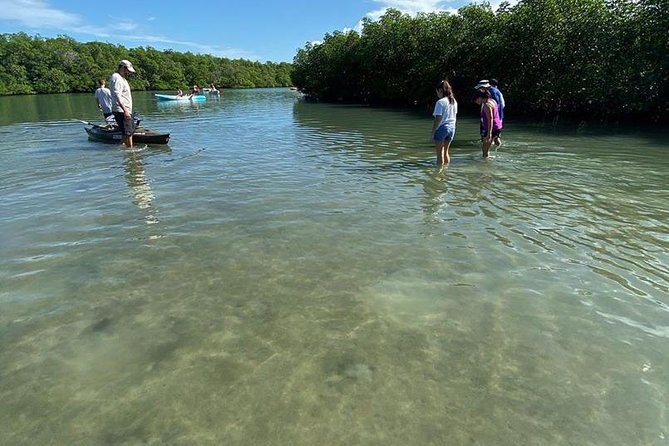 Clear Kayak Tours in Fort Pierce - The first paddle across open water