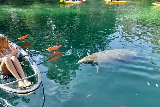 Clear Kayak Tours in Weeki Wachee - Guides add the value to the $79 price
