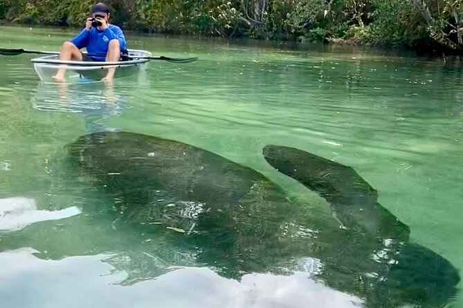 Clear Kayak Tours in Weeki Wachee - Who will enjoy this tour most