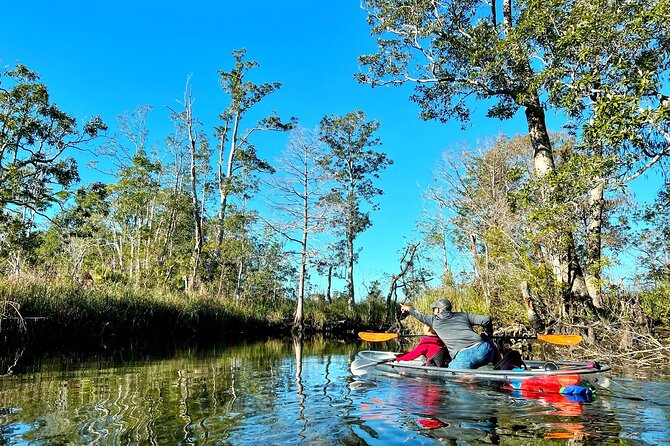 Clear Kayak Tours in Weeki Wachee - Useful planning details for a smoother outing