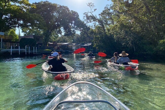 Clear Kayak Tours in Weeki Wachee - The honest drawbacks