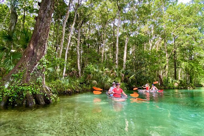 Clear Kayak Tours in Weeki Wachee - Wildlife is the main reason to book