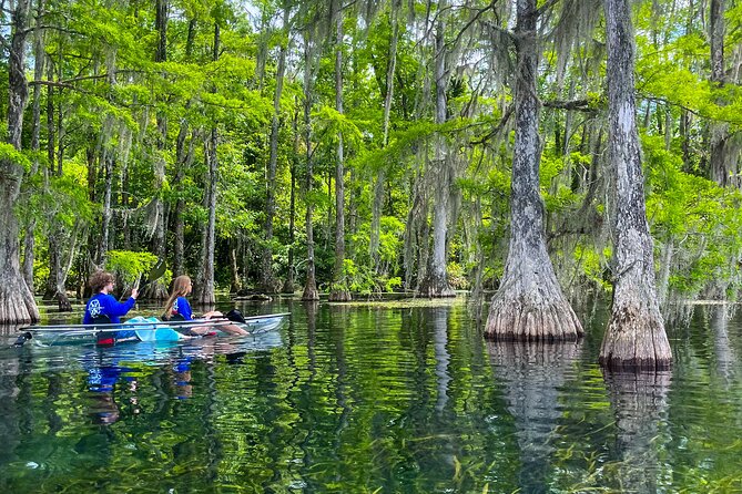 Clear Kayaking Eco Adventure Tour in Marianna - Merritt’s Mill Pond and the underwater caves