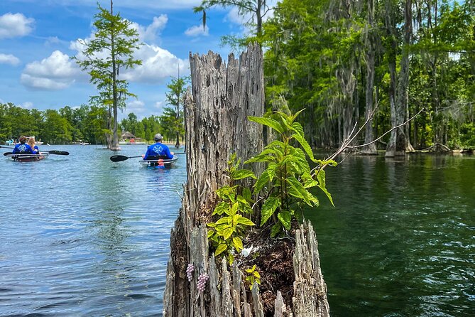 Clear Kayaking Eco Adventure Tour in Marianna - What the $75 price includes