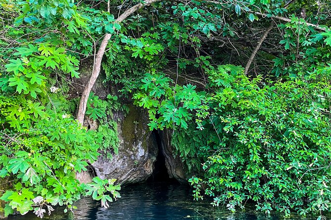 Clear Kayaking Eco Adventure Tour in Marianna - Beginning the paddle among limestone and cypress