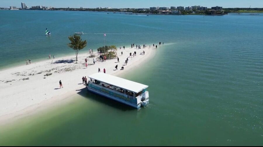 Clearwater Beach: Dolphin & Island Sandbar Cruise - Five things worth knowing before you book