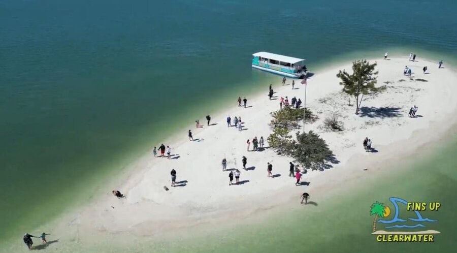 Clearwater Beach: Dolphin & Island Sandbar Cruise - Should you book the One-Tree Island cruise?