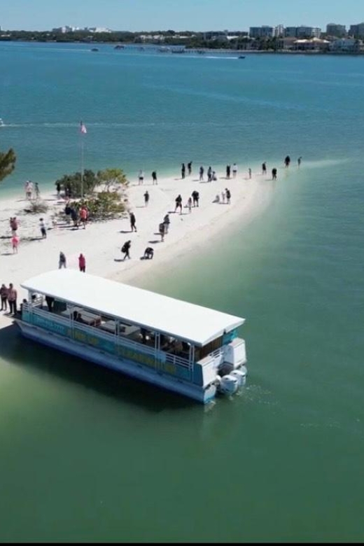 Clearwater Beach: Dolphin & Island Sandbar Cruise - Dolphin watching with a real safety advantage