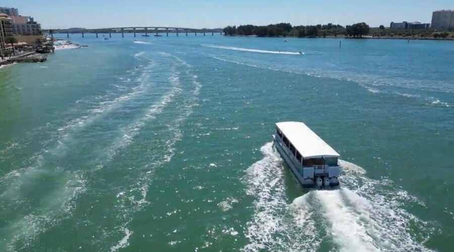 Clearwater Beach: Dolphin & Island Sandbar Cruise - One-Tree Island and the short swim stop