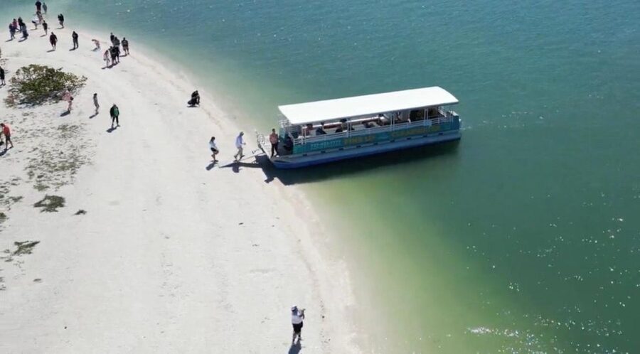 Clearwater Beach: Dolphin & Island Sandbar Cruise - BYOB, ice, and family-friendly extras