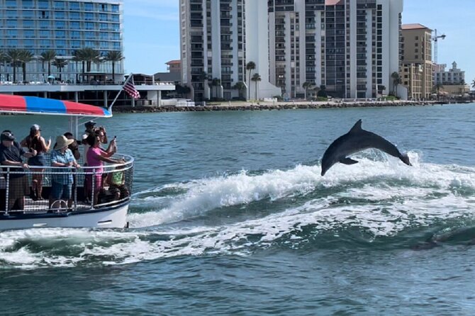 Clearwater Encounters with Dolphins Tour - Who will enjoy this Clearwater boat ride?