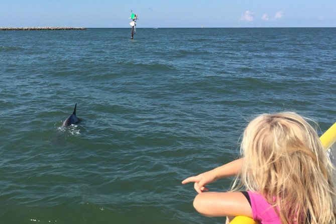 Clearwater Encounters with Dolphins Tour - Weather, cancellations, and planning tips