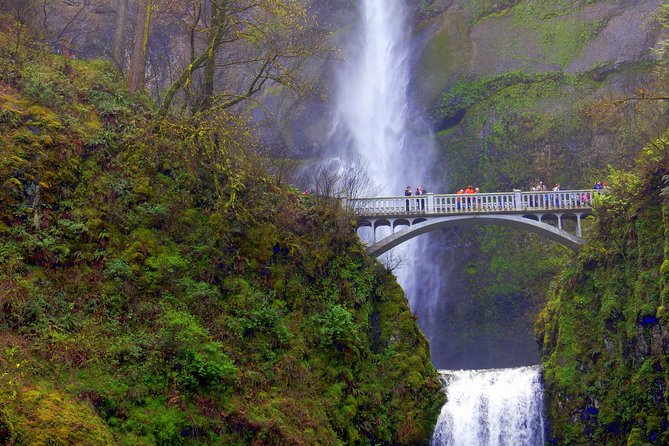 Columbia River Gorge Waterfalls Tour from Portland, OR - What the guides add to the ride