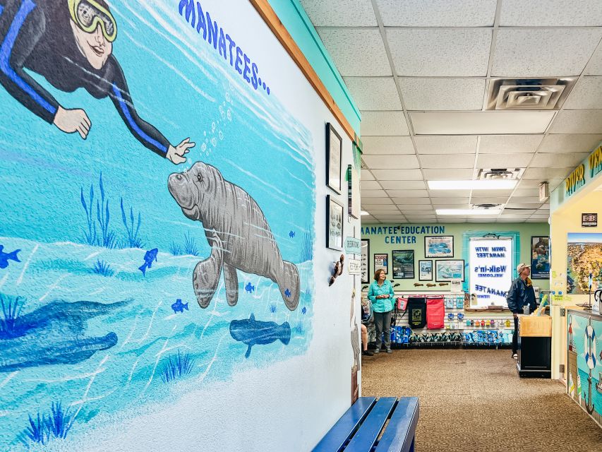 Crystal River: Manatee Snorkel Tour w/ In-Water Photographer - Why this Crystal River manatee tour is worth your morning