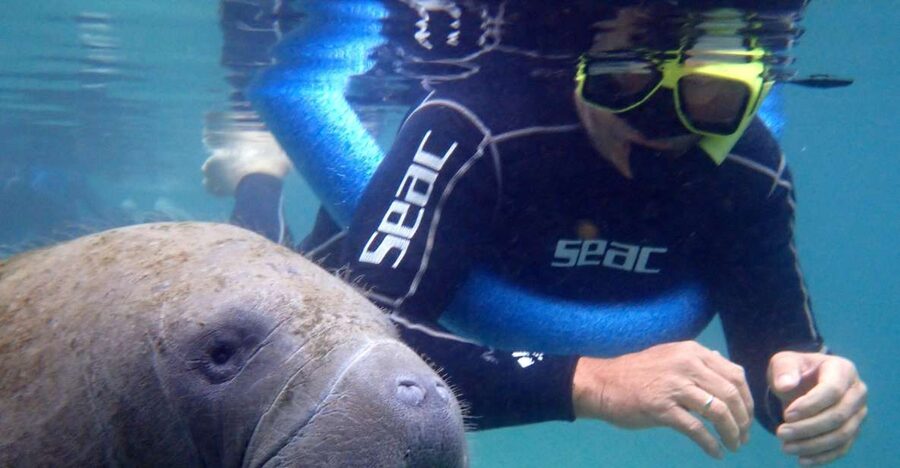 Crystal River: Manatee Snorkel Tour w/ In-Water Photographer - How timing and weather change the experience