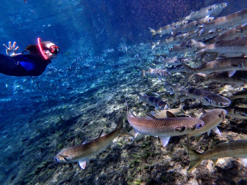 Crystal River: Manatee Swim Group Tour - Comfort after the swim