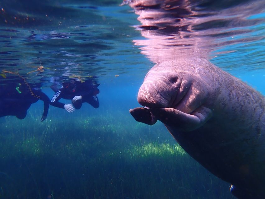 Crystal River: Manatee Swim Group Tour - Getting fitted and ready for the bay