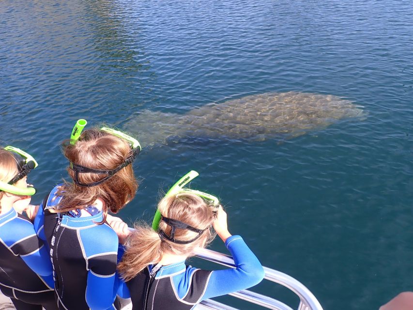 Crystal River: Manatee Swim Group Tour - The short ride to the boat