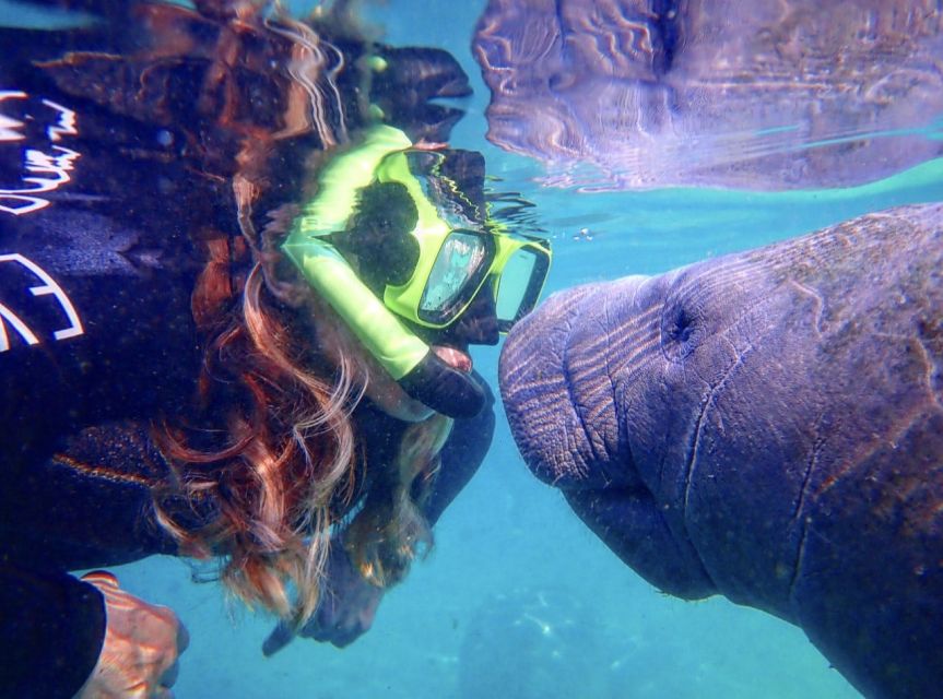 Crystal River: Manatee Swim Group Tour - Starting at 545 North Citrus Avenue